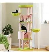 Cat Tunnel S Shape Cat Tunnels for Large and Indoor Cats 51”Long — collection imagery