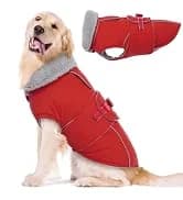 Dog Coat Warm Dog Winter Coat Waterproof Dogs Jacket with Harness — collection imagery