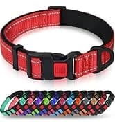 Rope Dog Leash for Medium and Large Dogs — collection imagery