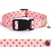 Reflective Dog Collar — Puppy Collar with Buckle Adjustable — collection imagery