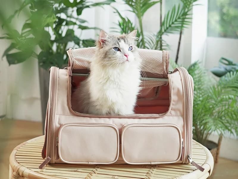 Cat Carrier — Airline Approved Dog Carrier with Rollable Cover — Why Choose Cat Carrier?