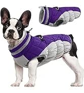Dog Coat for Medium Dogs — Fleece Dog Winter Jacket with Harness — collection imagery