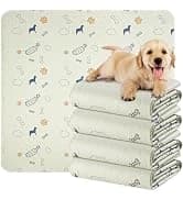 Washable Pee Pad for Dogs — 2 Pack Large Reusable Puppy Pads — collection imagery
