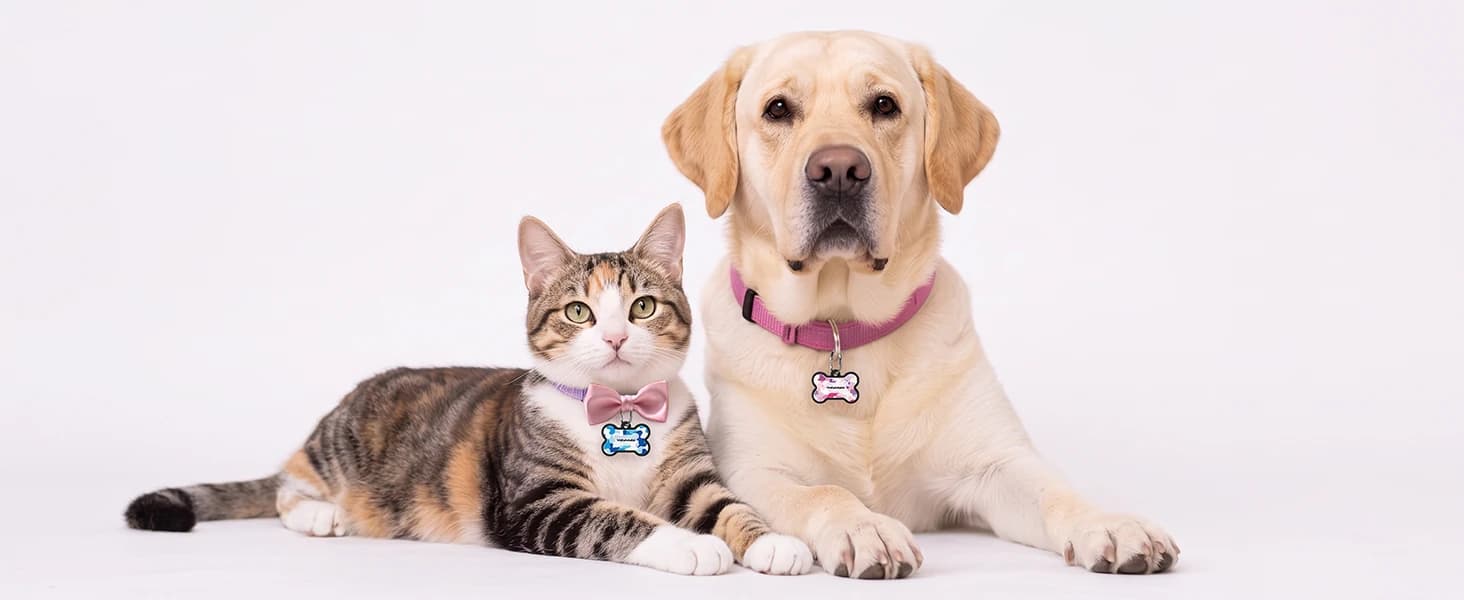 Silent ABS Dog ID Tag with QR Code - Classic Black - No App Required Smart Pet Tag — product details