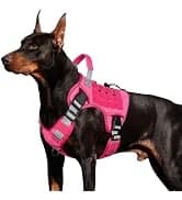 Tactical Dog Harness for Large Dogs — collection imagery