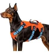 Tactical Dog Harness for Large Dogs — collection imagery