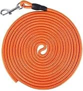Floating Long Dog Leash — 20ft Dog Training Leash for Swimming and Lake — collection imagery