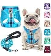 Dog Leash for Large Dogs — 5FT Heavy Duty Rope Leash Bulk — collection imagery