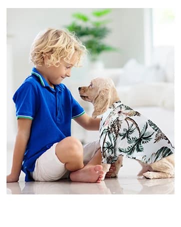 9 Pcs Holiday Dog Bandanas — Adjustable Washable Pet Scarves — collection imagery