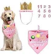Dog Tuxedo Bandana — Wedding Birthday Dog Bow Tie — collection imagery