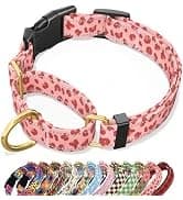 Adjustable and Reflective Dog Collar for Medium Dogs — collection imagery