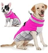 Waterproof Dog Coat Dog Jacket Fullbody Dogs Winter Coat Snowsuit — collection imagery