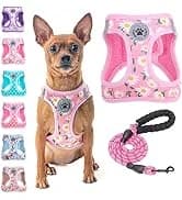 Dog Leash for Large Dogs — 5FT Heavy Duty Rope Leash Bulk — collection imagery
