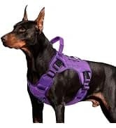 Tactical Dog Harness for Large Dogs — collection imagery