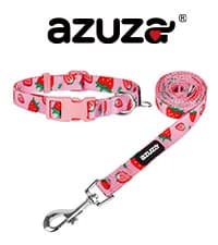 Anchor Dog Collar with Bow Tie — collection imagery