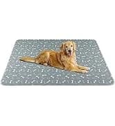 Washable Pee Pad for Dogs — 2 Pack Large Reusable Puppy Pads — collection imagery