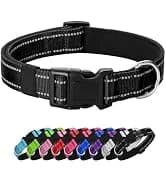 Reflective Dog Collar — Adjustable Nylon for Medium Dogs — collection imagery
