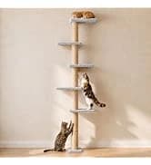 Cat Scratching Post for Indoor Cats — 32Inch Sisal Cat Scratcher — collection imagery