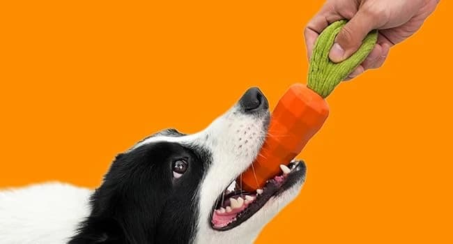 Dog Chew Toys for Aggressive Chewers — Rubber Squeaky Dog Toys — Double the Noise — Double the Fun