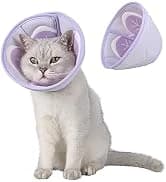 Adjustable Dog and Cat Cone — Soft Recovery Cat Cone Collar — collection imagery