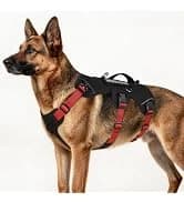 Tactical Dog Harness for Large Dogs — collection imagery