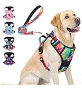 Dog Leash for Large Dogs — 5FT Heavy Duty Rope Leash Bulk — collection imagery