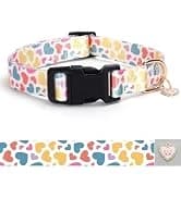 Reflective Dog Collar — Puppy Collar with Buckle Adjustable — collection imagery