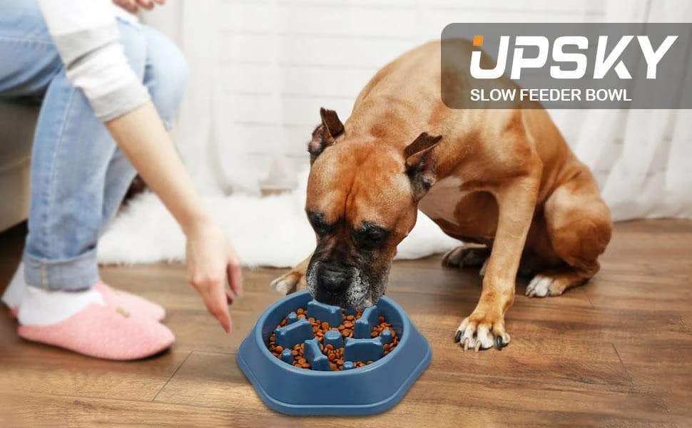Slow Feeder Dog Bowl — Anti-Chocking Slower Feeding Pet Puzzle Bowls — product details
