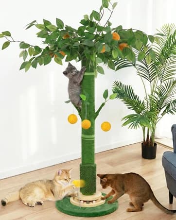 46" Extra Tall Cat Scratching Post for Large Cats — Sisal Rope — collection imagery