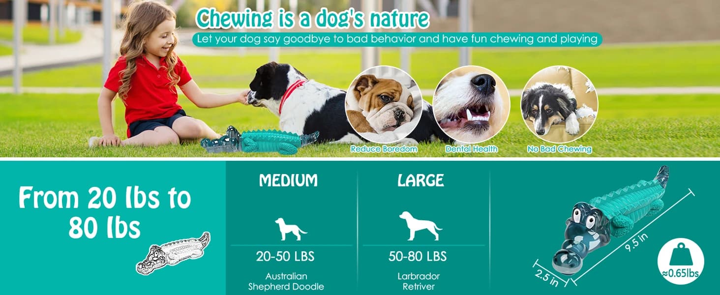 Dog Toys for Aggressive Chewers — product details