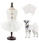 Reversible Dog Winter Coat — Dog Jacket for Small — collection imagery
