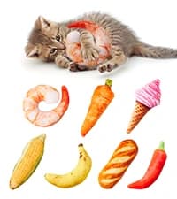 Cat Toys Saury Fish — 3 Pack — collection imagery