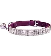 Leather Cat Collar with Bell Breakaway- Adjustable — collection imagery