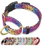 Adjustable and Reflective Dog Collar for Medium Dogs — collection imagery