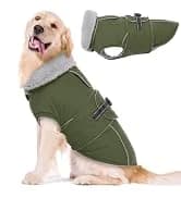 Dog Coat Warm Dog Winter Coat Waterproof Dogs Jacket with Harness — collection imagery