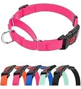 Waterproof Dog Training Leash 50FT 30FT 15FT 10FT 5FT Heavy Duty Recall Long Lead for Large Medium Small Dogs — collection imagery