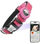 QR Code Cat Tag — Modifiable Pet Online Profile Page — collection imagery