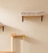 Cat Tunnel S Shape Cat Tunnels for Large and Indoor Cats 51”Long — collection imagery