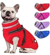 Dog Winter Coat with Harness — collection imagery