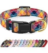 Adjustable and Reflective Dog Collar for Medium Dogs — collection imagery