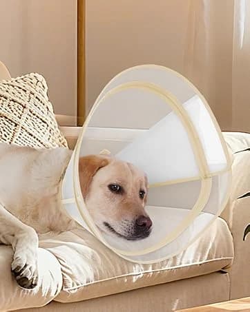 Dog Cone to Stop Licking — Clear Recovery Collar with Detachable Zipper — collection imagery