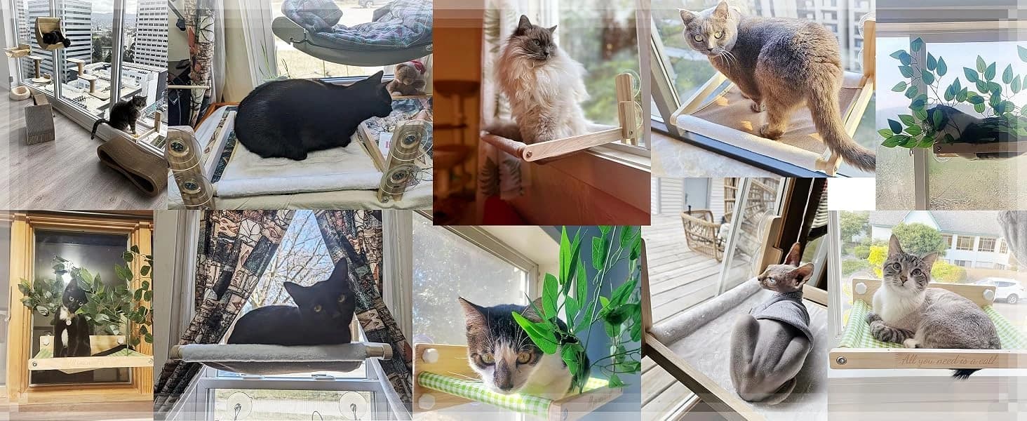 Foldable Cat Window Perch — Natural Wood — A lot of happy cats — join them now!