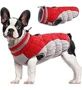Dog Coat for Medium Dogs — Fleece Dog Winter Jacket with Harness — collection imagery