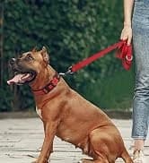 Rope Dog Leash for Medium and Large Dogs — collection imagery
