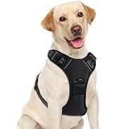 Dog Harness — No Pull Pet Vest for Large Dog — collection imagery