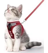 Cat Harness and Leash Set — Escape Proof Soft Vest Walk Pink XS — collection imagery
