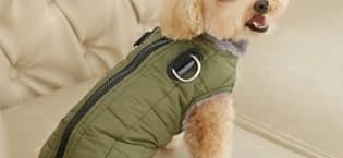 Fleece Dog Jacket for Small Dogs — collection imagery
