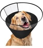 Dog Cone to Stop Licking — Clear Recovery Collar with Detachable Zipper — collection imagery