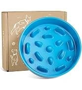 Dog Bowls Slow Feeder Ceramic — 1.5 Cup Slow Feeding Bowl for Small and Medium Breed — collection imagery