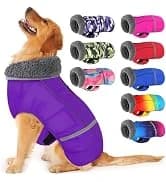 Dog Winter Coat with Harness — collection imagery